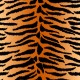 Stickers carrelage animal tigre