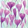 Stickers carrelage violet Lilas