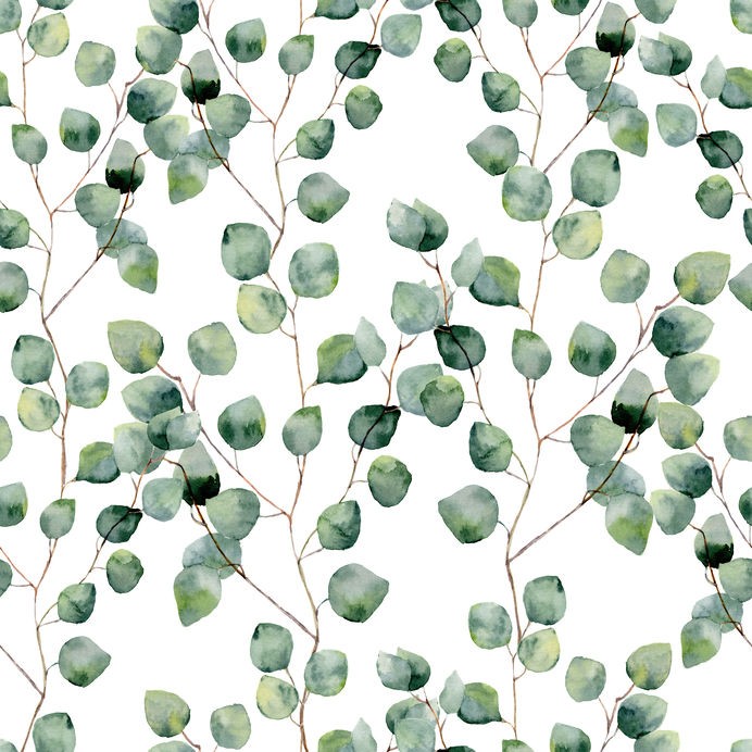 Autocollants muraux feuille d'eucalyptus plantes vertes artistiques  résistantes