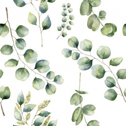 Stickers carrelage feuille eucalyptus ligne