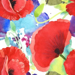 Stickers carrelage Coquelicot aquarelle