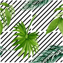 Stickers carrelage feuille tropicale rayure